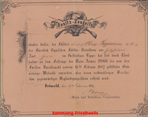 Urkunde zur Erinnerungsmedaille an den Feldzug 1866